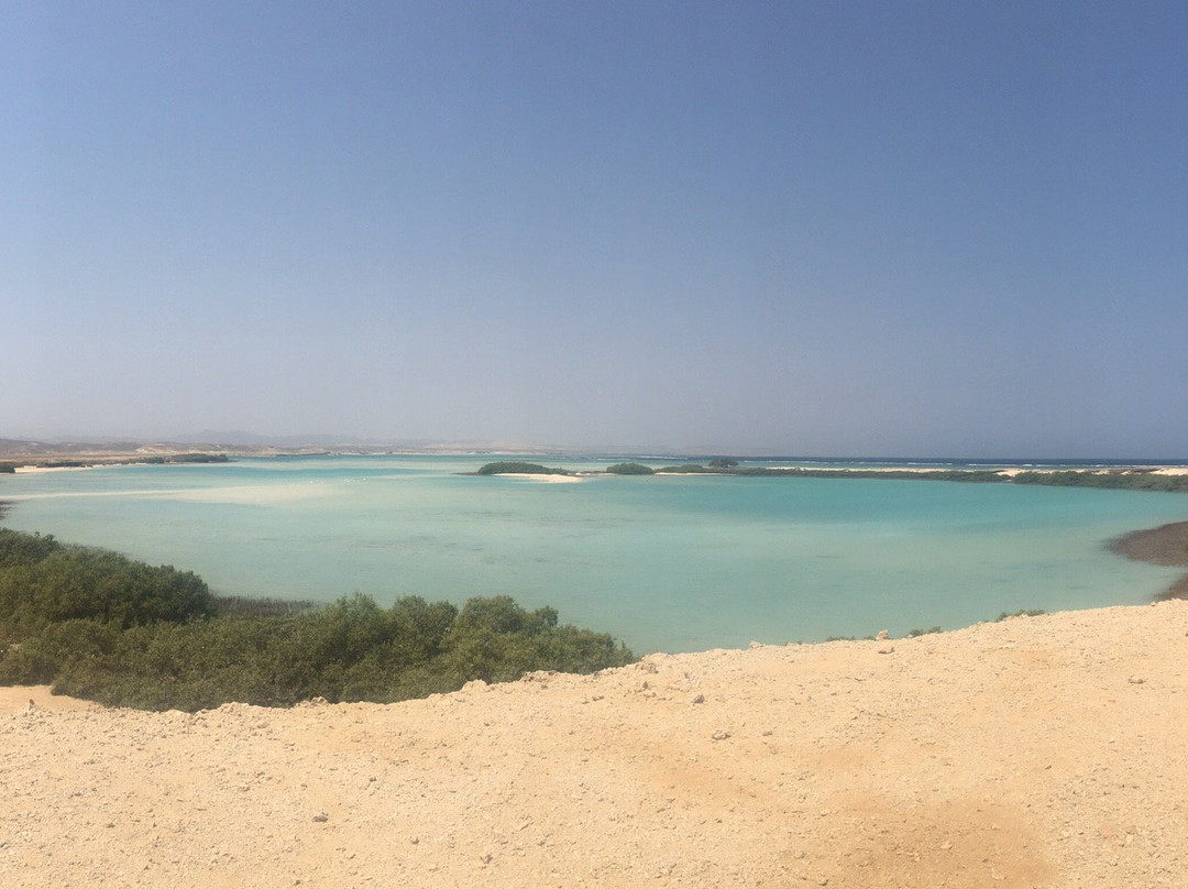 El Qulan Mangrove Forest-马萨阿拉姆必去景点