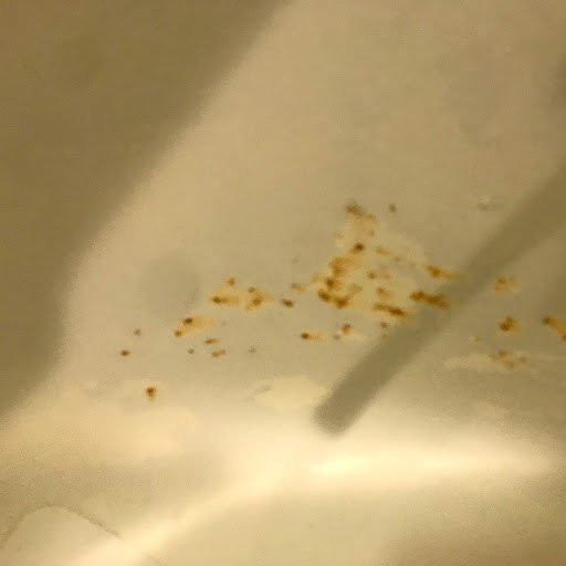 普罗维登斯威斯丁酒店主图