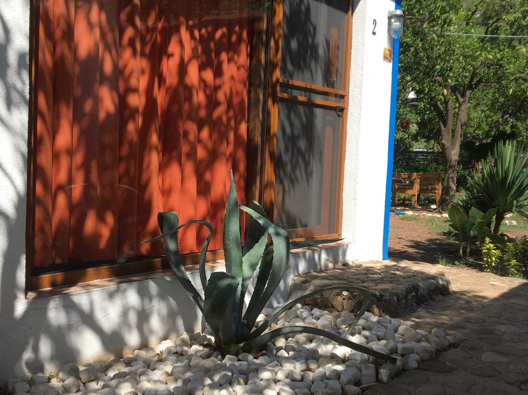 Relax Point Butik Pansiyon主图