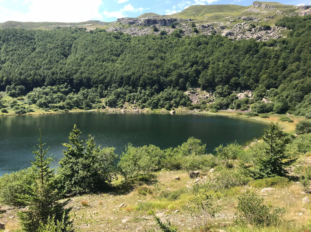 Lago Verde景点图片