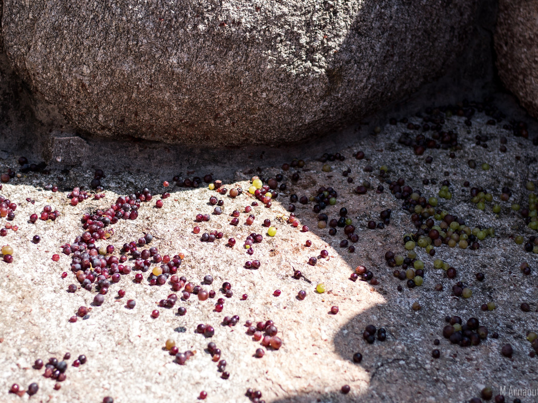 Afianes Wines-Profitis Ilias必去景点