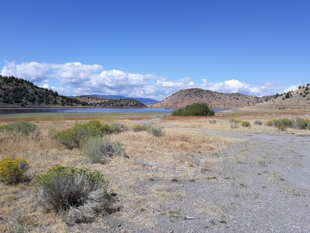 Lake Shastina景点图片