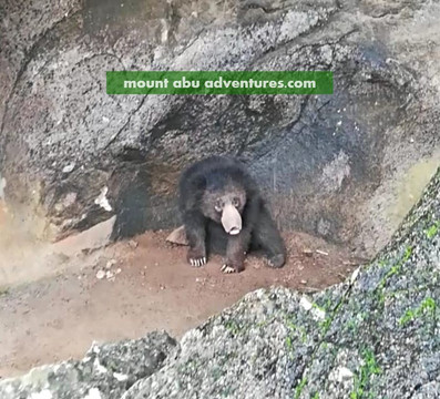 Shanti Shikhar - Trekking Destination-阿布山必去景点