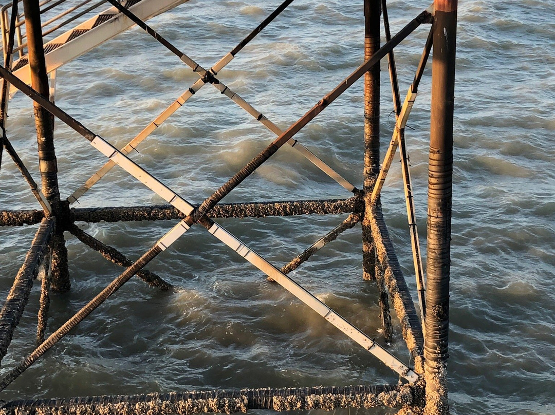 Nightcliff Jetty-达尔文市必去景点