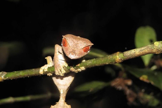 MUDT-安塔那那利佛必去景点