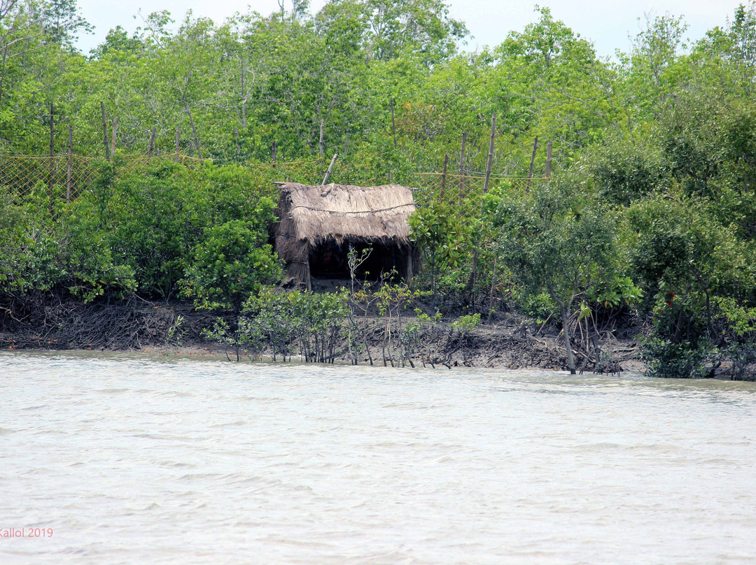 Sundarban Wild Safari景点图片