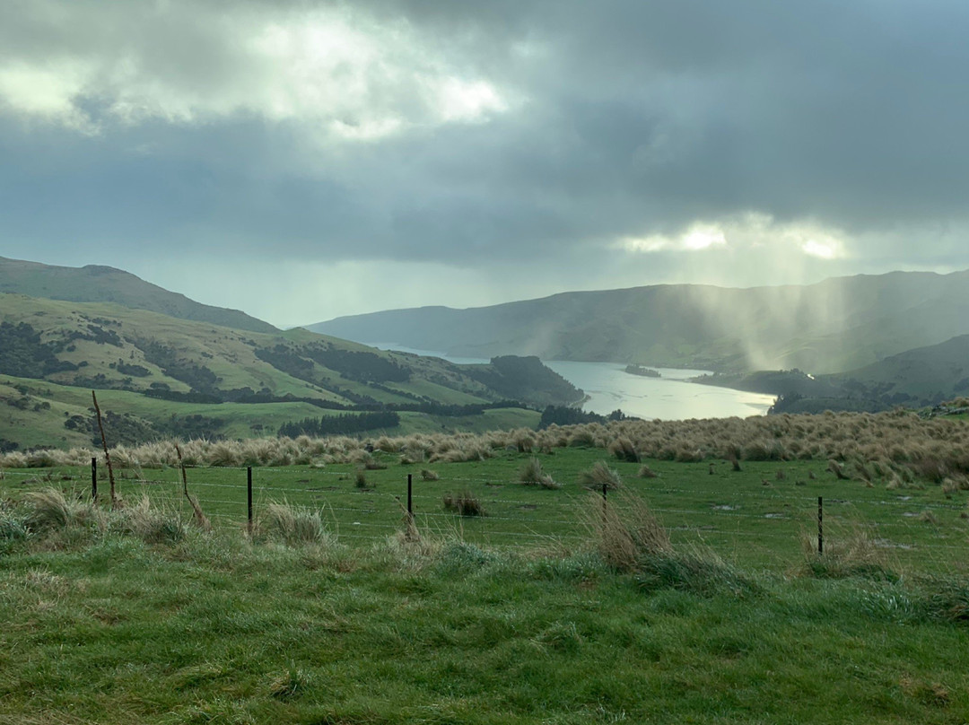 Banks Peninsula Experience景点图片