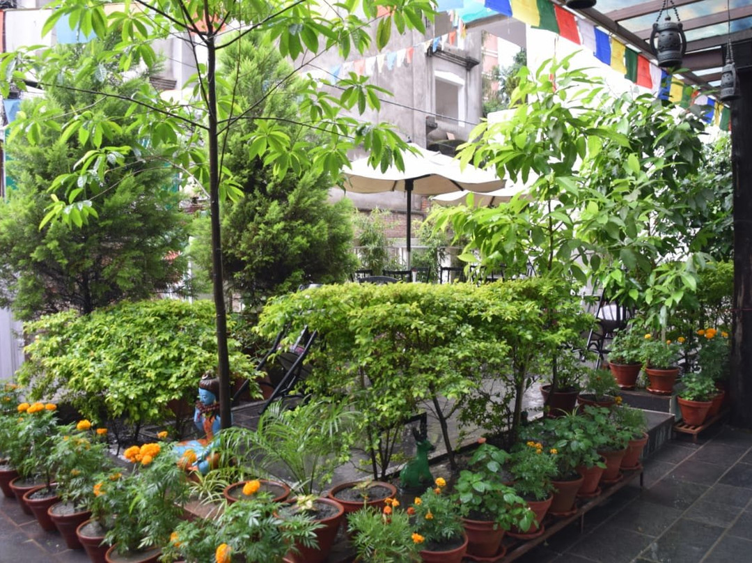 Oasis Kathmandu Hotel主图