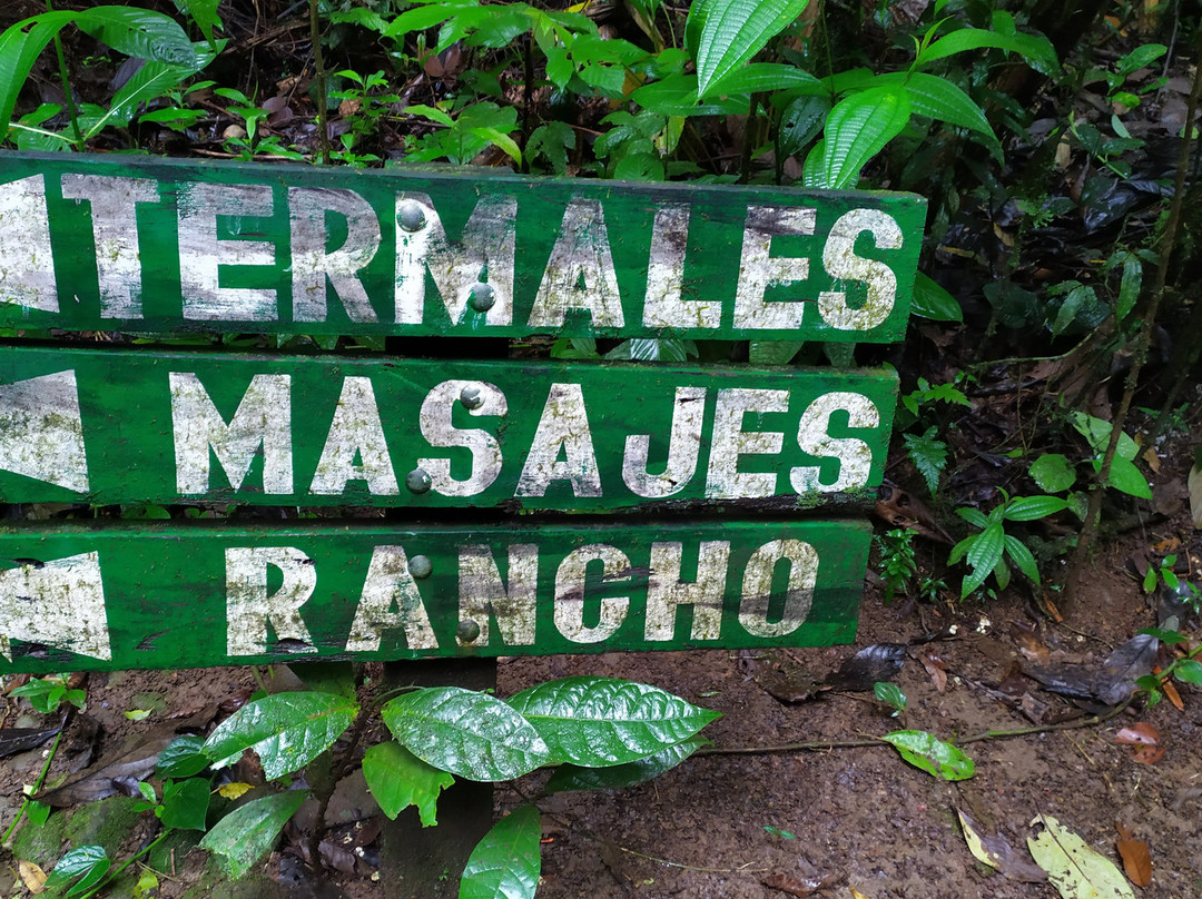 Termales del Bosque Hot Springs-San Rafaeillo必去景点