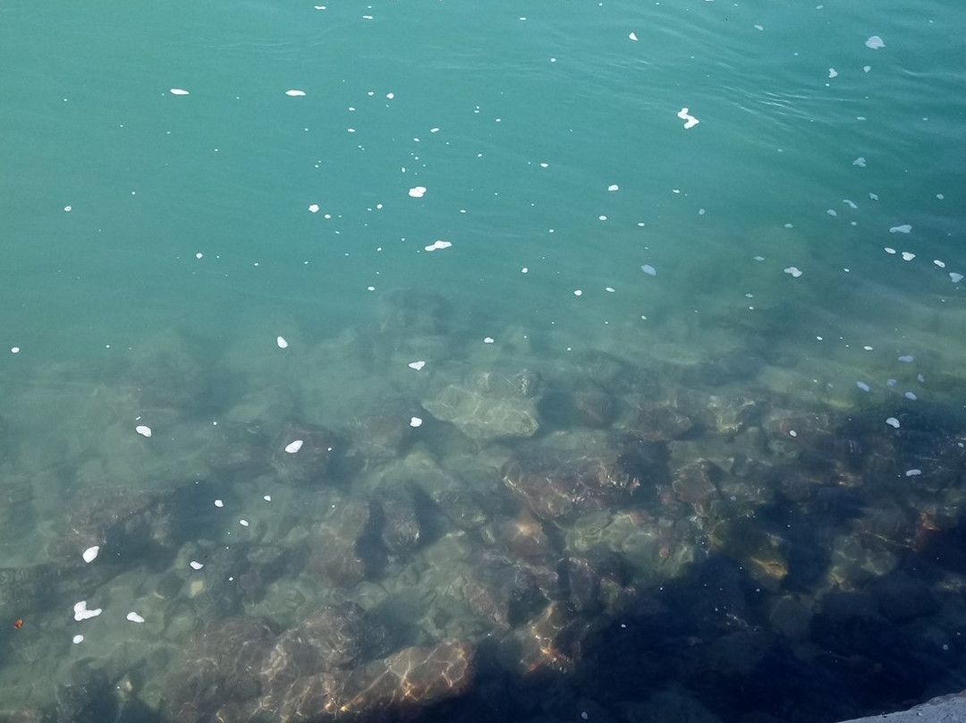 Kowie River-艾尔弗雷德港必去景点