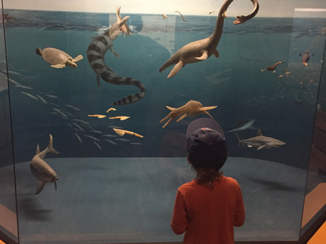 Canadian Fossil Discovery Centre-Morden必去景点