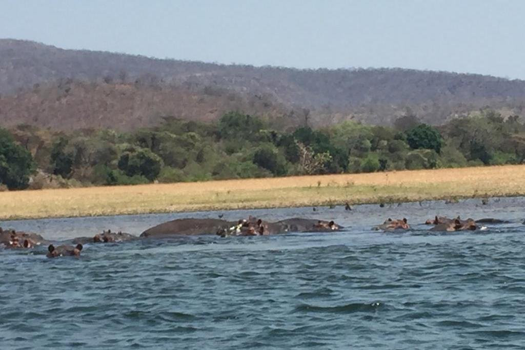 Royal Tours Zambia-李文斯顿必去景点