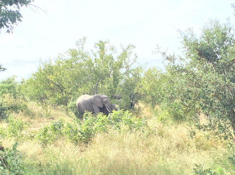 DreadLion Safaris-雾观必去景点