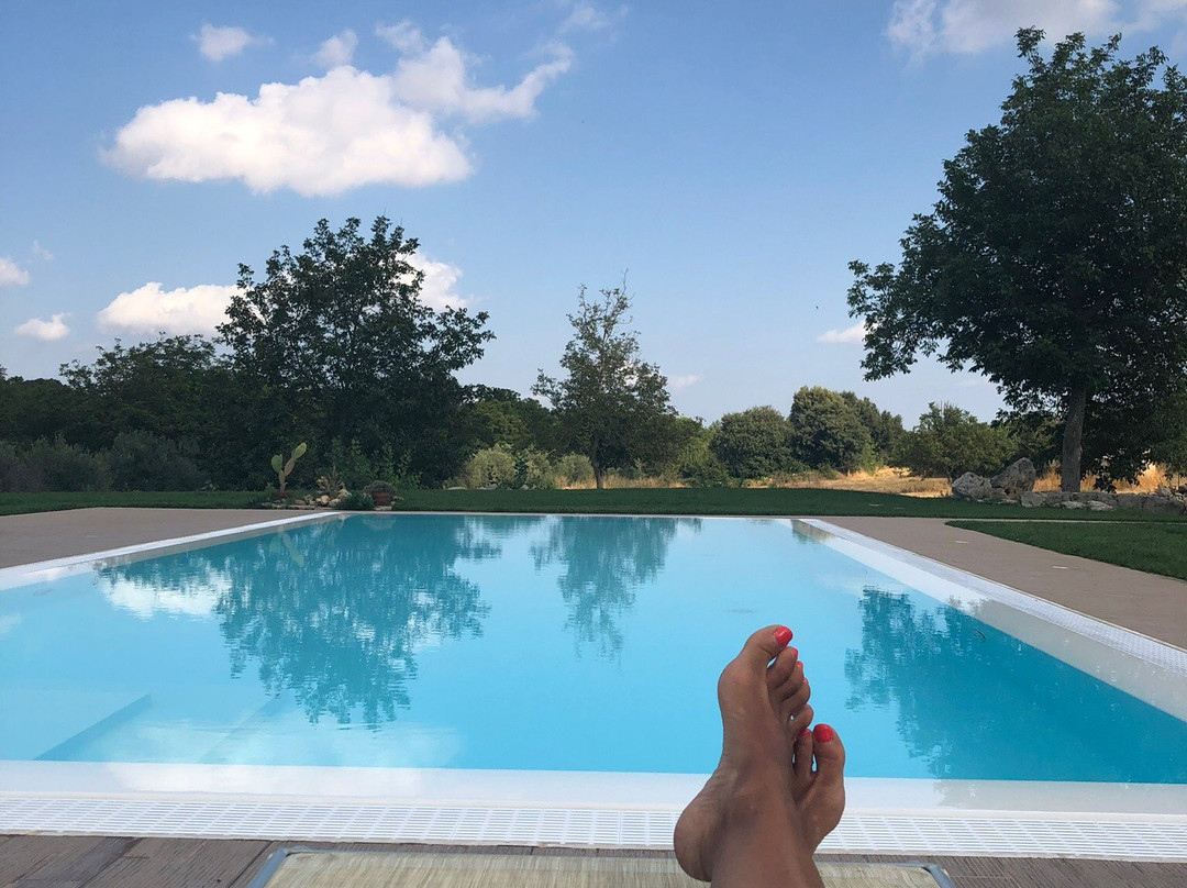 阿古里亚阿里图斯莫酒店主图