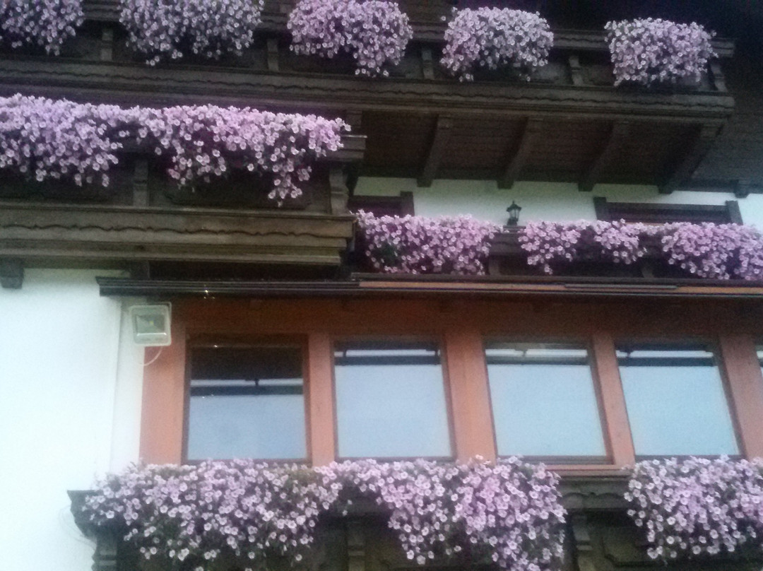 Hotel Sonnfeld主图