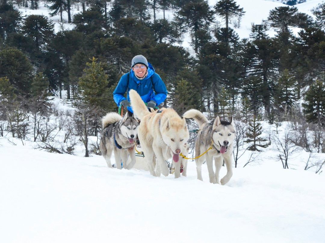 Husky Point-Curacautin必去景点