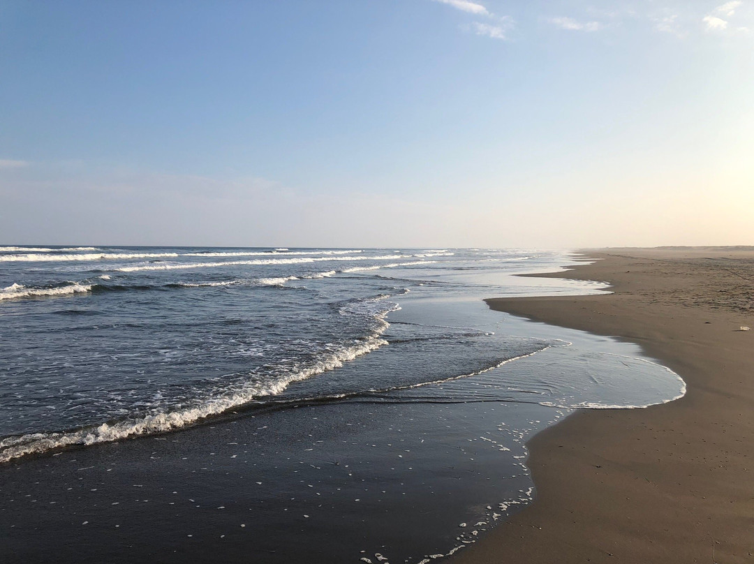 Hasunuma Ocean Park-山武市必去景点