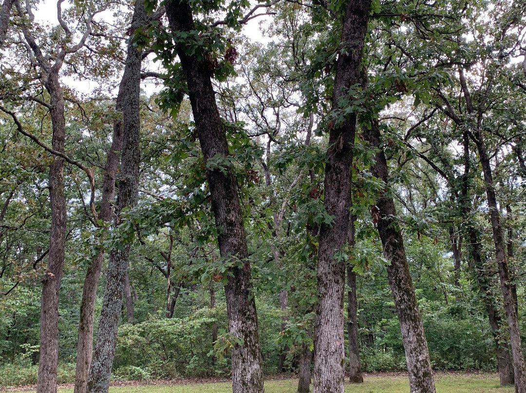 Knob Noster State Park-Knob Noster必去景点