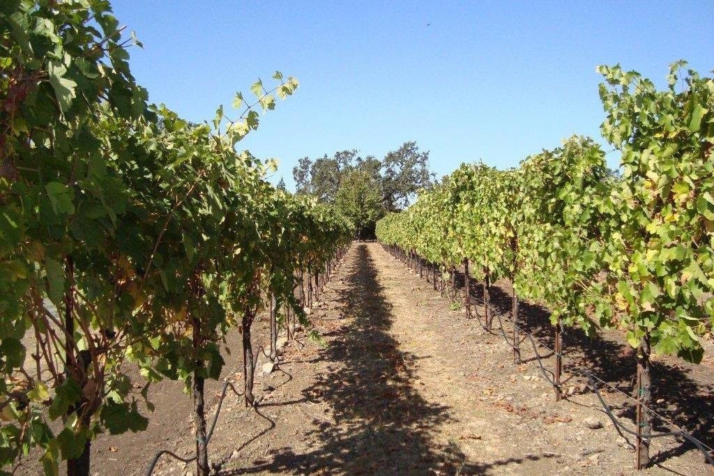 Bay Magic Meetings & Tours-旧金山必去景点