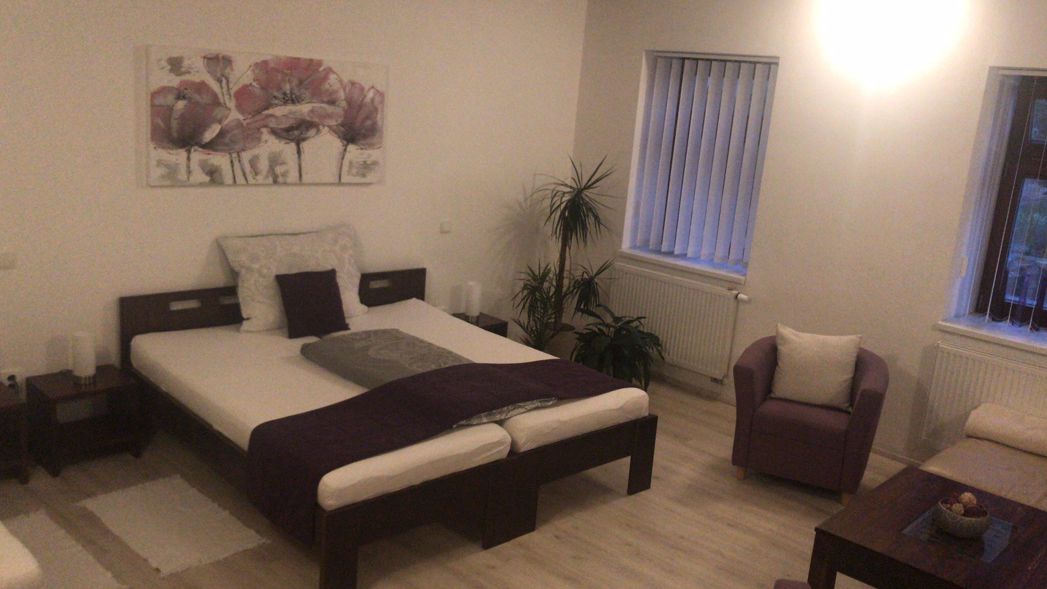 Apartmány Cechovní-官方