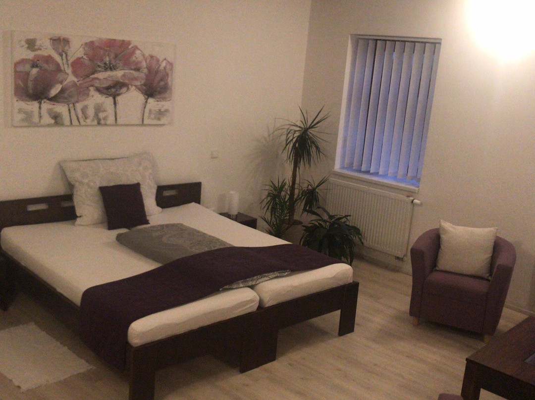 Apartmány Cechovní主图