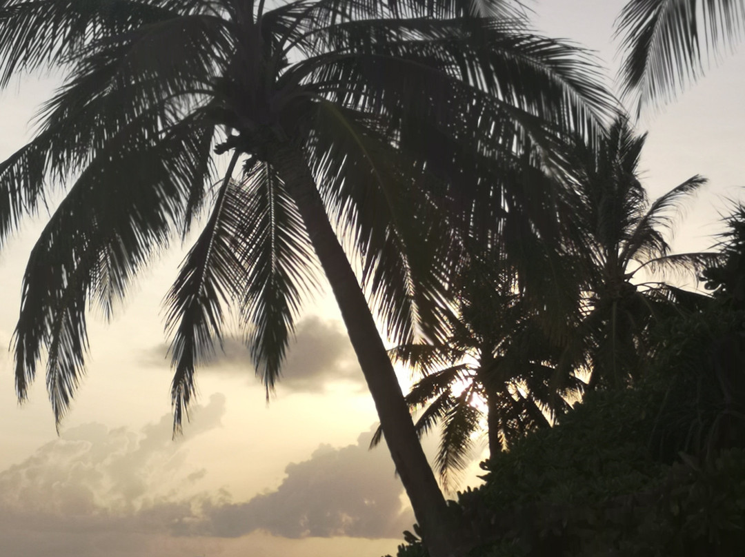 维拉私人海岛度假酒店主图