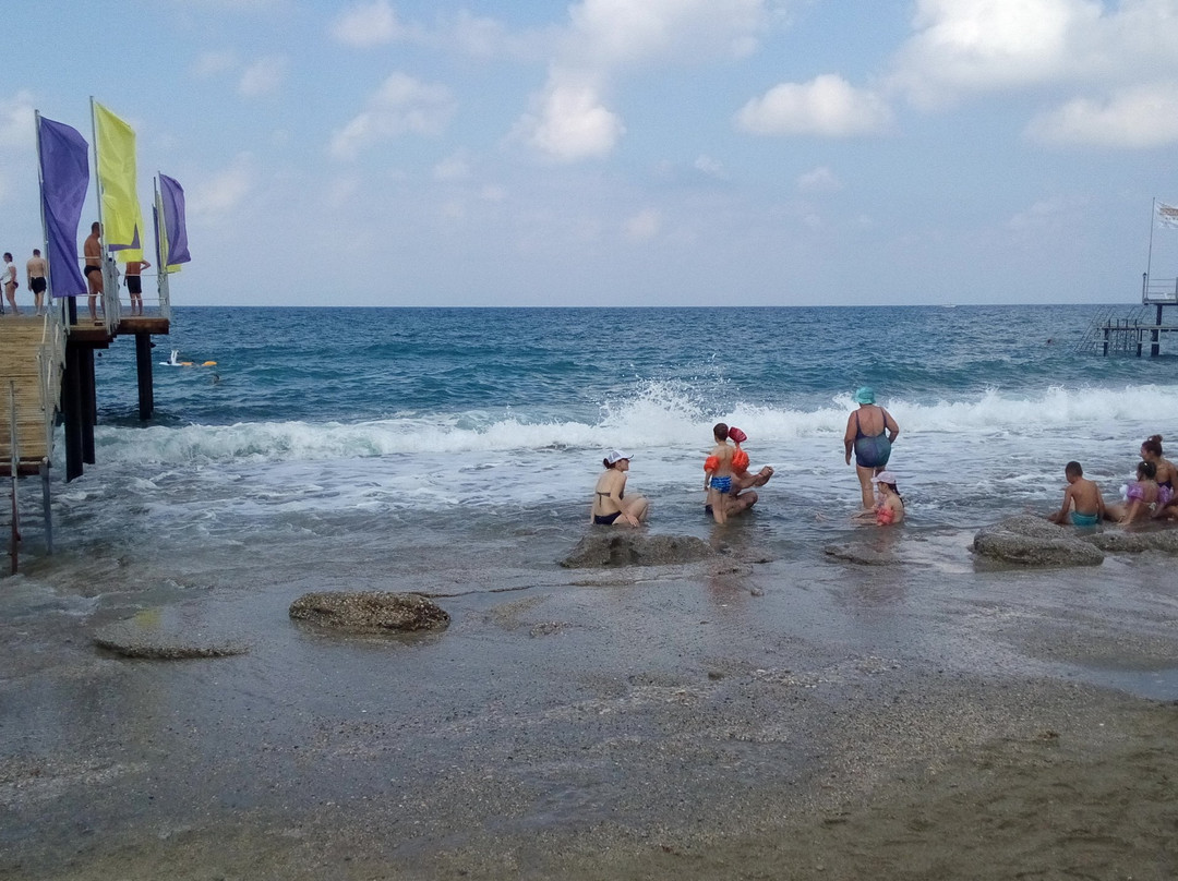 Blue Fish Hotel主图