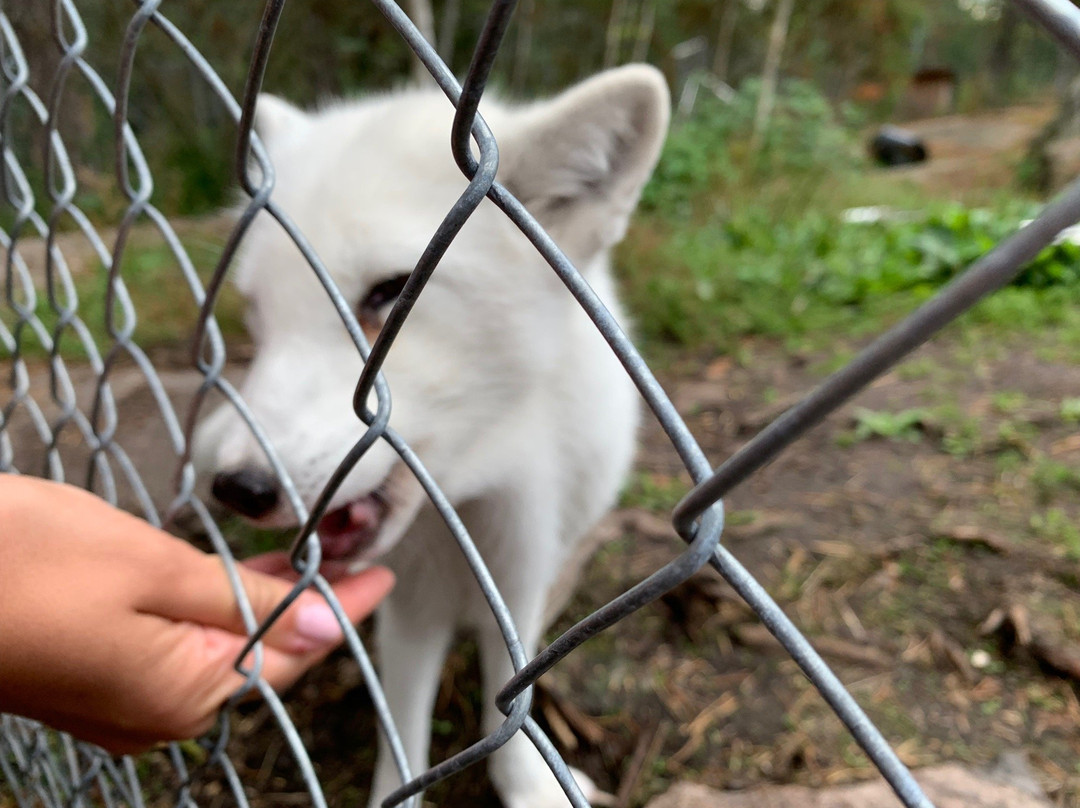 Lomamäki Petting Zoo-Inkoo必去景点