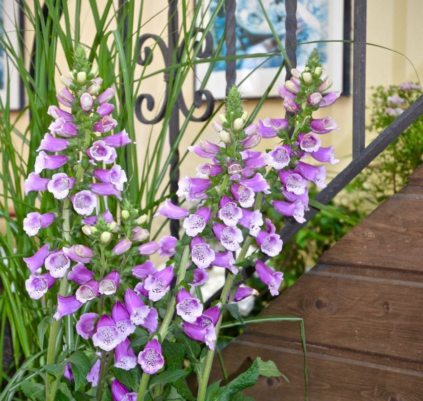 Hotel Weinhaus Hoff主图