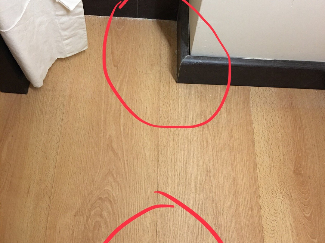 Castanares旅游攻略图片