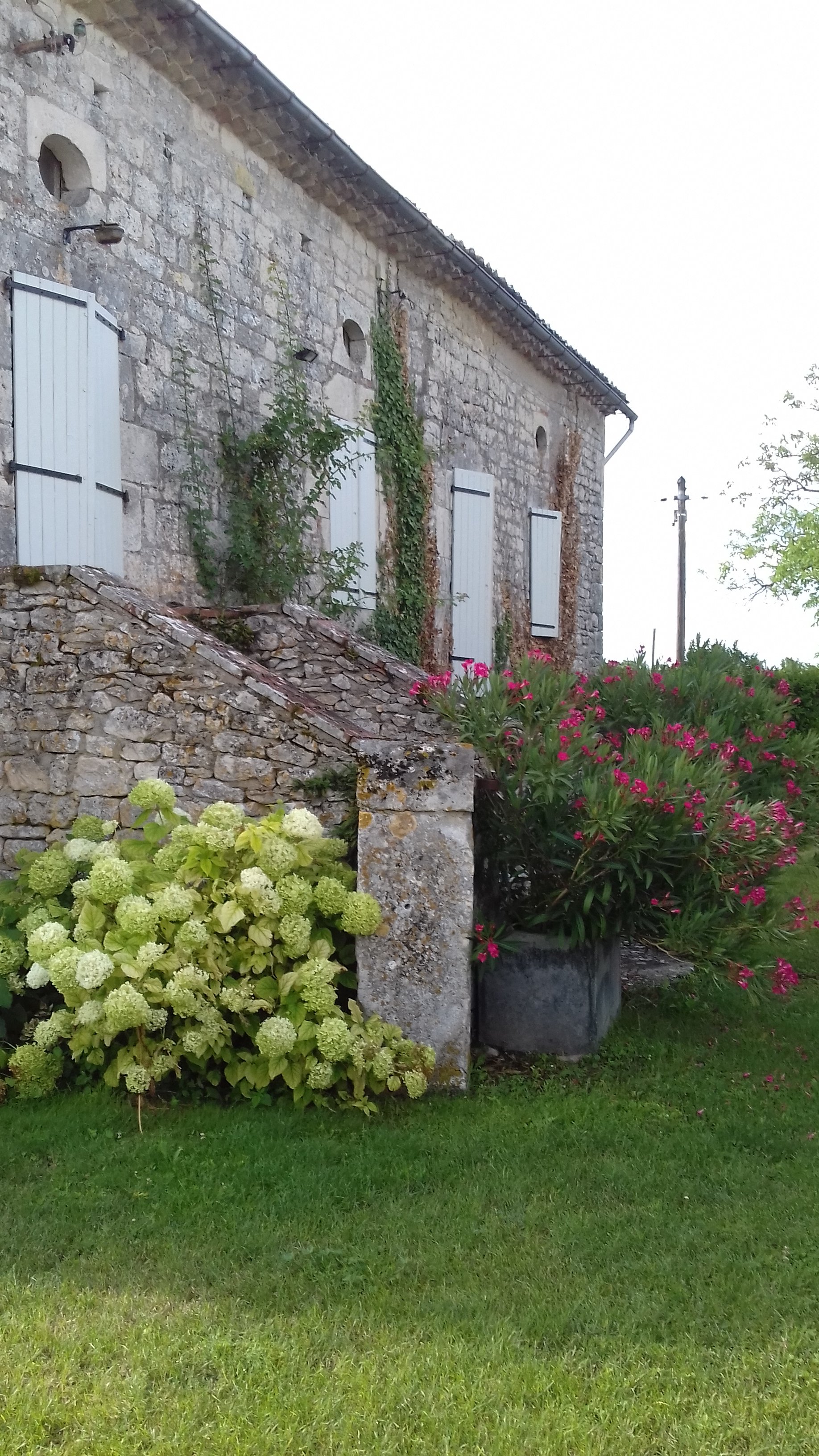 Domaine de L'Isle Basse-泳池