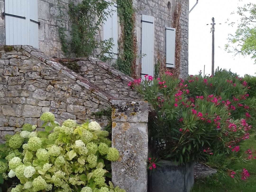Domaine de L'Isle Basse主图