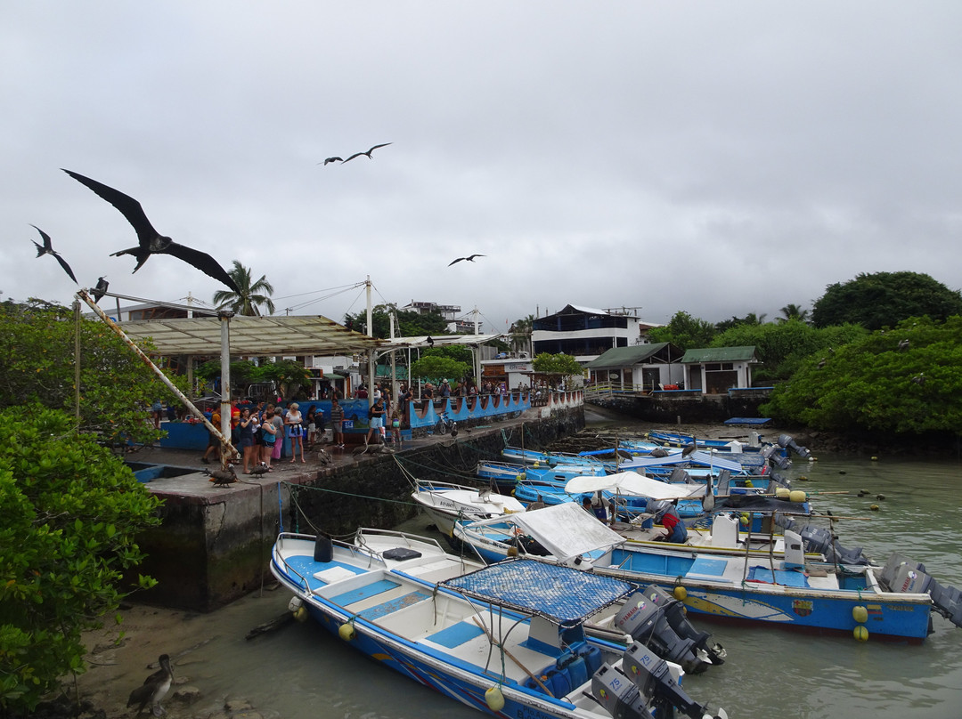 Malecon de Puerto Ayora景点图片