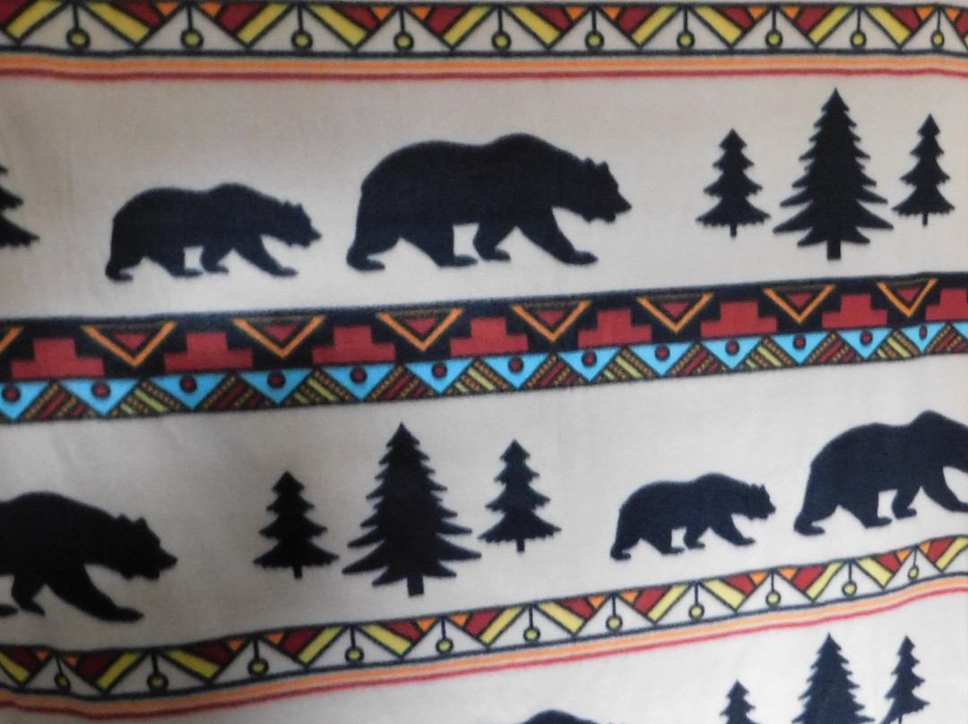 Moose Drop-In Trading Post-穆斯帕斯必去景点