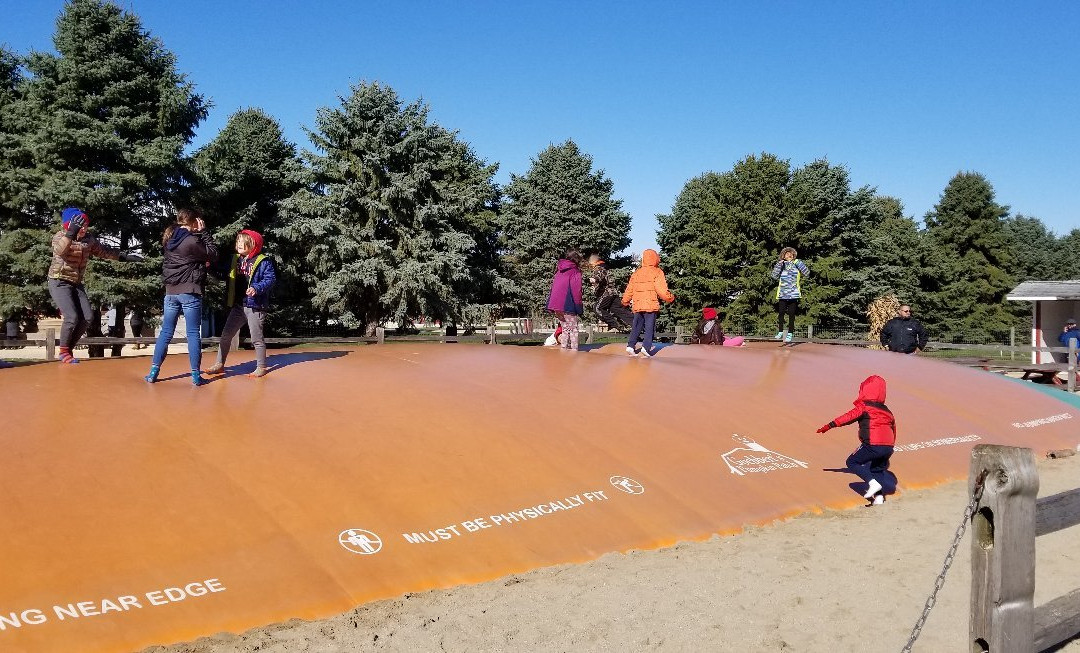 Goebbert's Pumpkin Patch-Hampshire必去景点