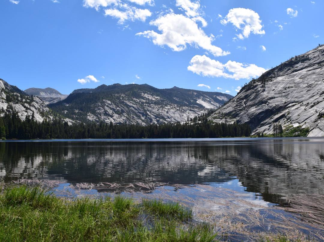 Yosemite Mountaineering School景点图片