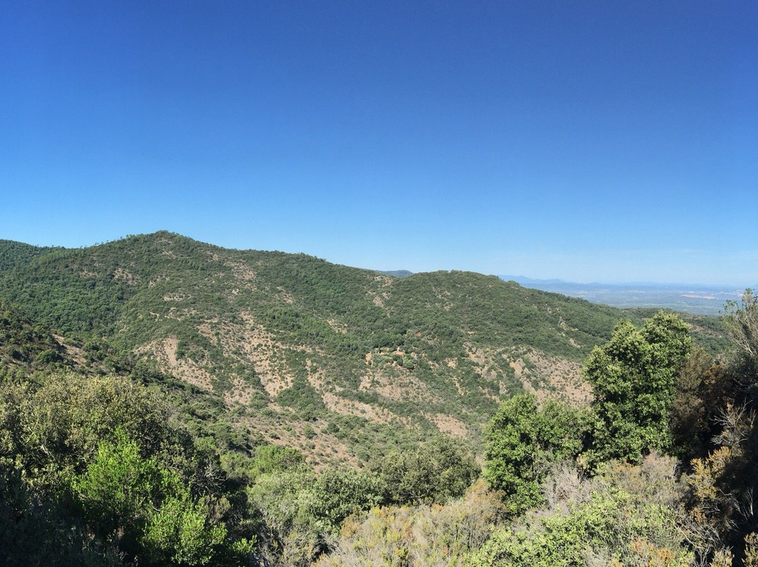 Fort-Freinet-La Garde-Freinet必去景点