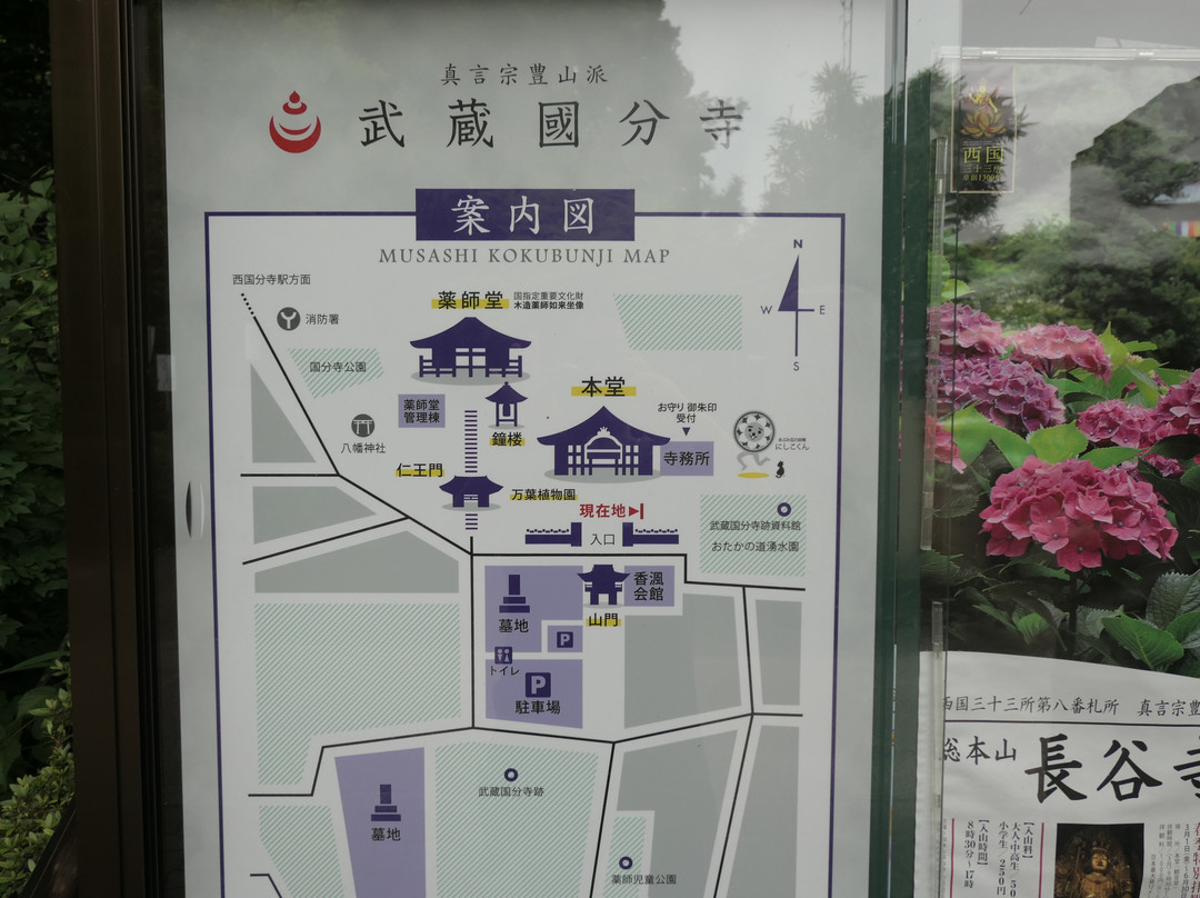 Manyo Botanical Garden-国分寺市必去景点