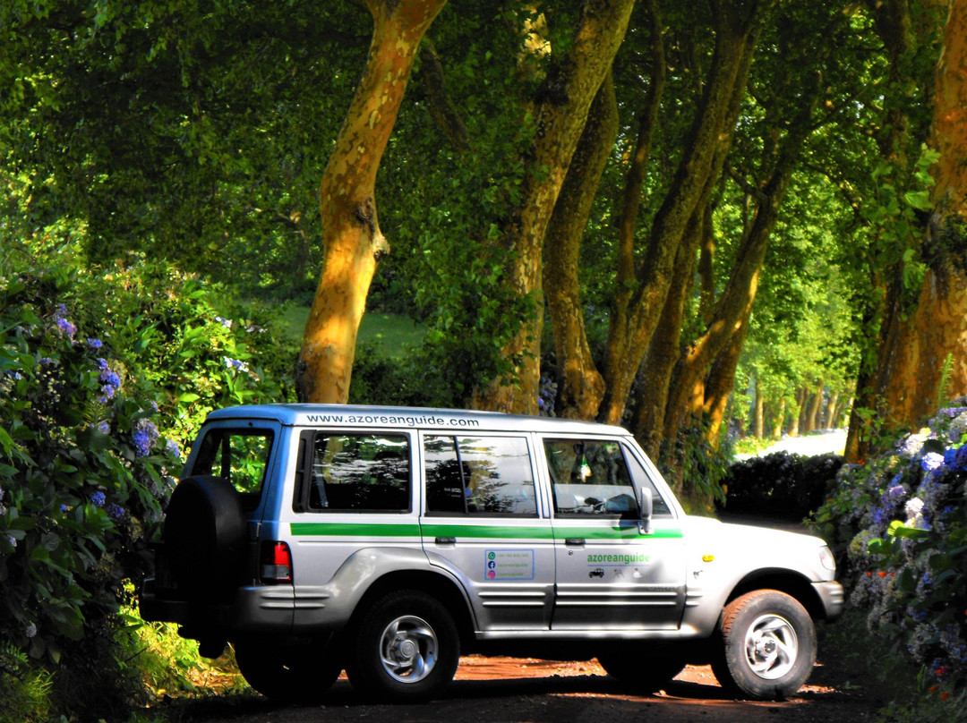 AZOREANGUIDE ® - Sao Miguel Private Tours-蓬塔德尔加达必去景点