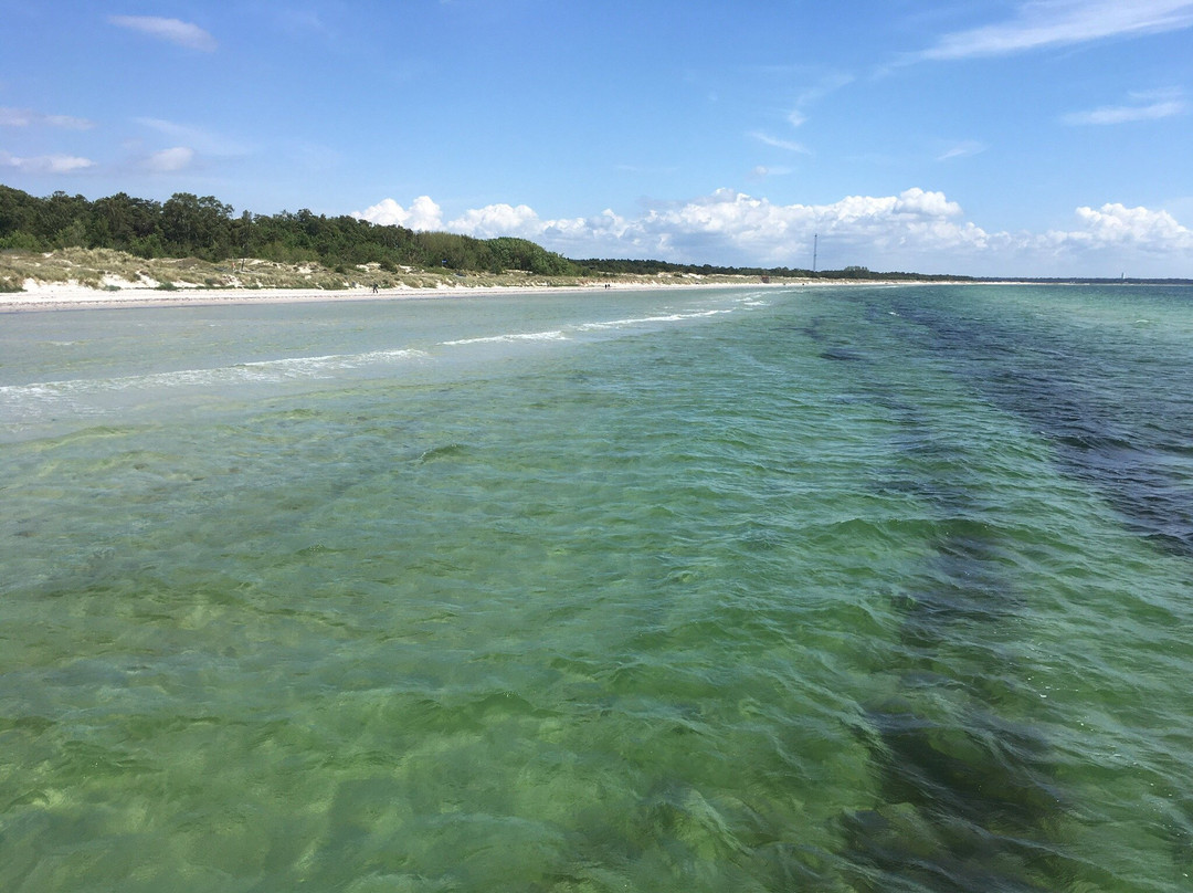 Falsterbo Strand景点图片