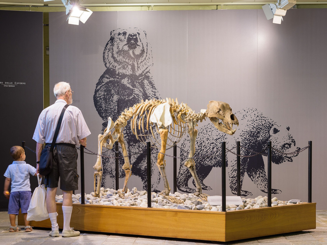 Museo di Archeologia e Paleontologia "Carlo Conti"景点图片