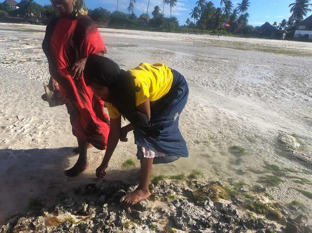 Jambiani Tours-江比阿尼必去景点