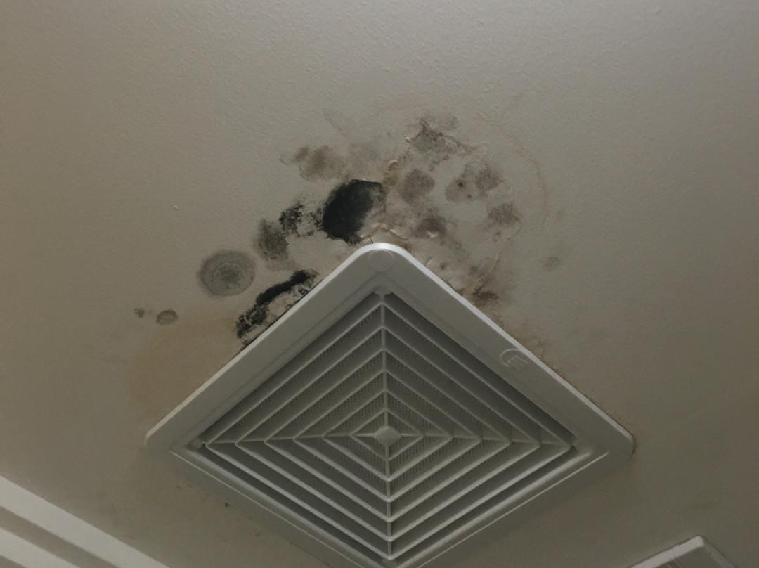 阿达拉卡姆珀尔唐恩酒店主图