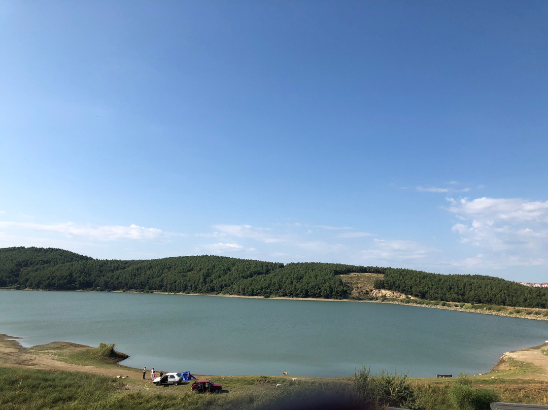 Nehir Hotel Kesan主图