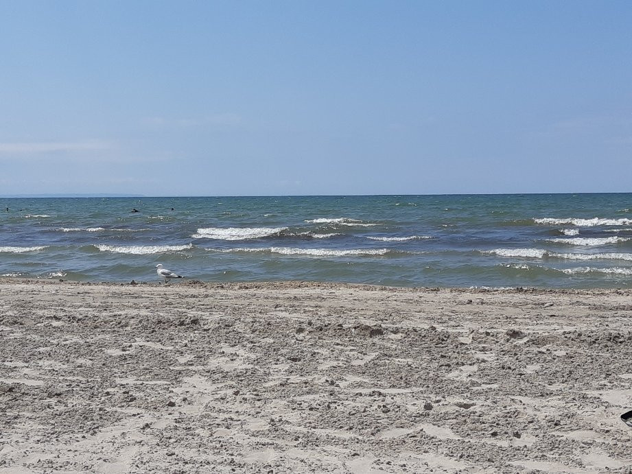 Hollywood Cottages主图