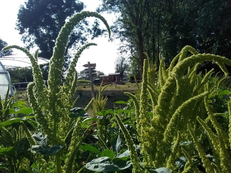 De la fourche a la fourchette-Chalette-sur-Loing必去景点
