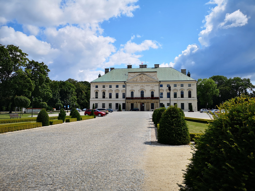 Pałac Sanguszkow景点图片