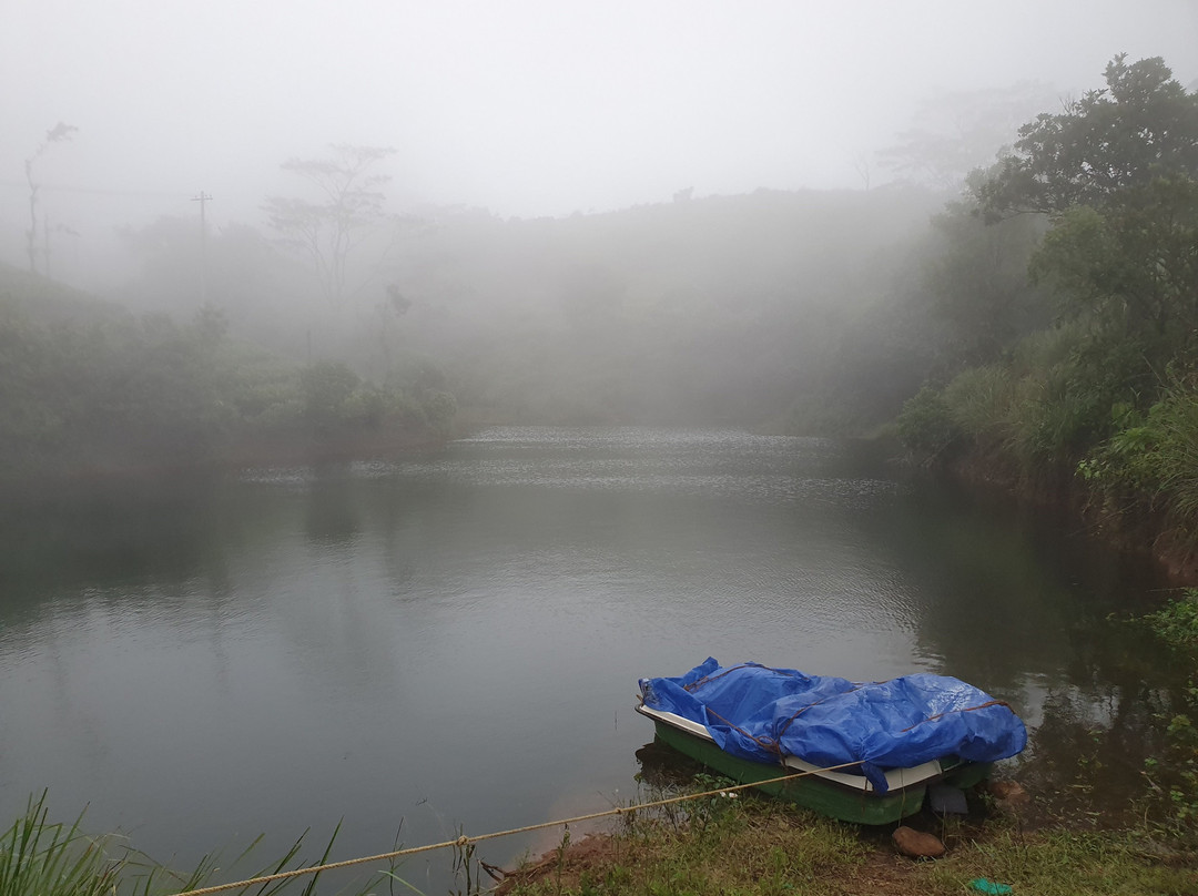 Winter Vale Green Stay主图