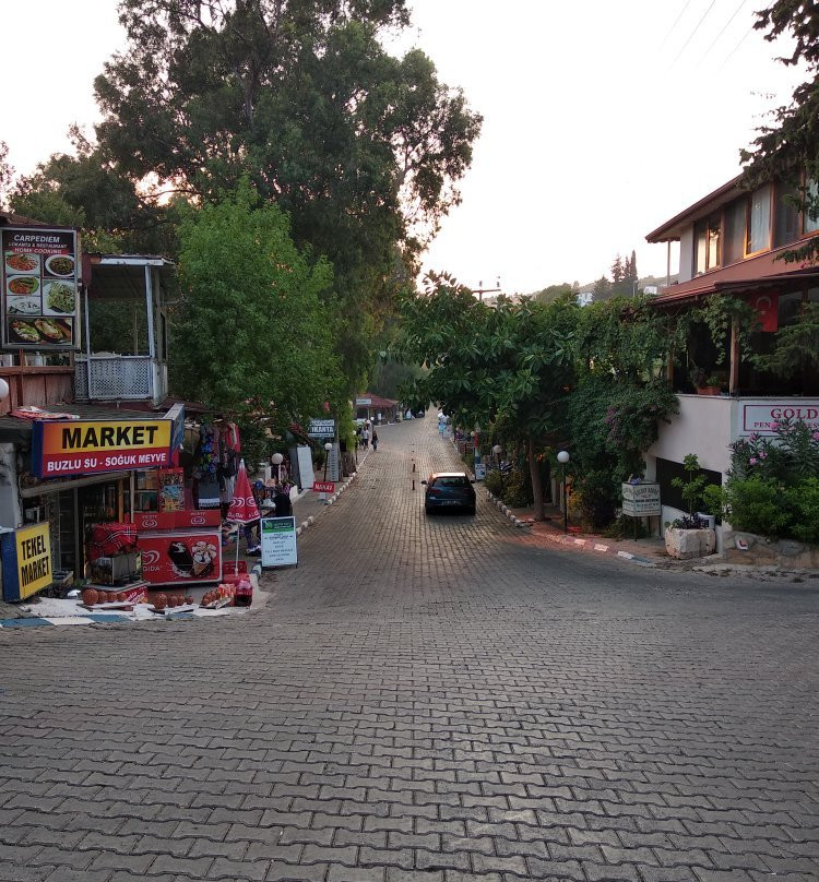 Patara Golden Pension主图