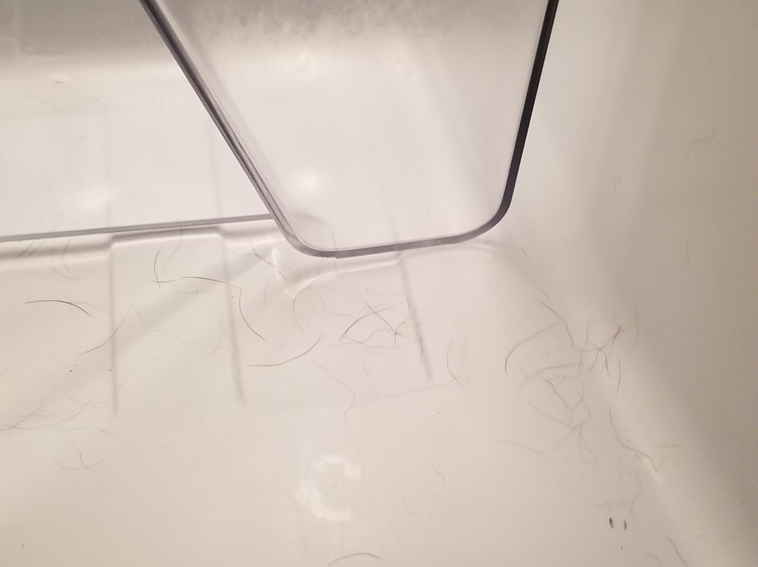 Super 8 by Wyndham Seville主图